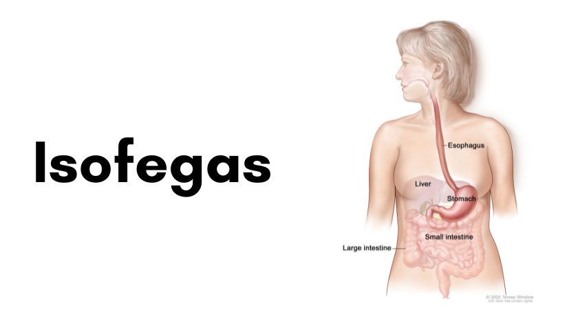 isofegas