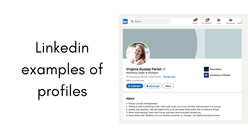 linkedin examples of profiles